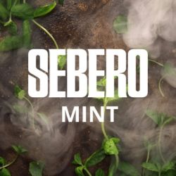    Sebero  40.