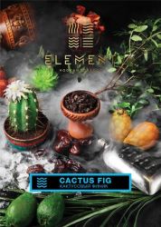    Element( 200.) () aroma Cactus Fig