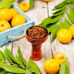    Burn Juice Apricot ( ), 25 .