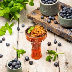    Burn Blueberry Mint 25  (-)