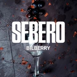    Sebero  20 .