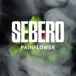    Sebero  40 .