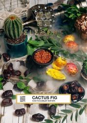    Element( 200.) () aroma Cactus Fig