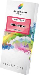 Spectrum Classic - Smallberry M 100 