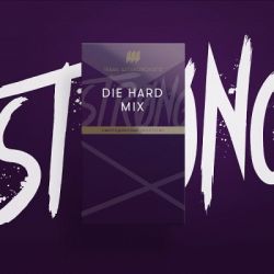     STRONG DIE HARD MIX ( ) 40