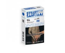  / Street Samurai - Blue Volume (,  - ) 30