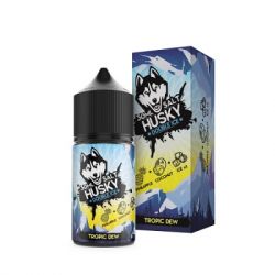 HUSKY DOUBLE ICE SALT 45 TROPIC DEW () 30