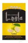   /  (Leyla) 50 