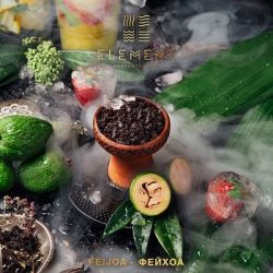    Element( 100.) () aroma Feijoa