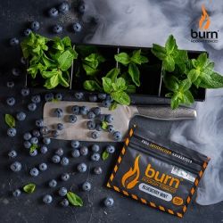    Burn Biueberry Mint (  ) 100