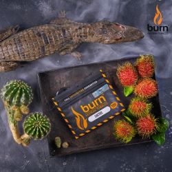    Burn Cactus () 100