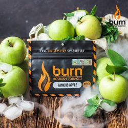    Burn Famous Apple (    ) 100