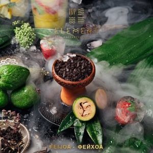    Element( 100.) () aroma Feijoa