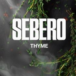    Sebero  40.