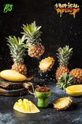    B3 Tropical Duo ( ) 50.