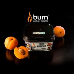    Burn Juice Apricot (  ) 200