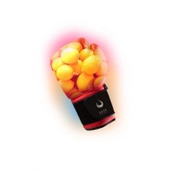  / Hook () Lemon blossom 50 .