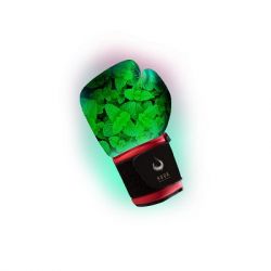  / Hook () Mint valley 50 .