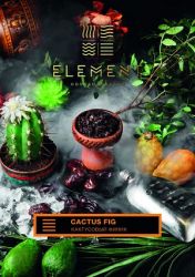    Element( 200.) () aroma Cactus Fig