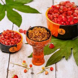    Burn Juice Wildberry ( ) 100