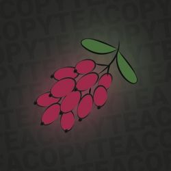   Copy tea - Barberry
