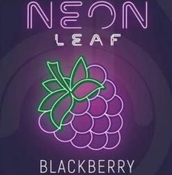    Neon Leaf Blackberry 50.
