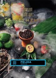    Element( 200.) () aroma Feijoa