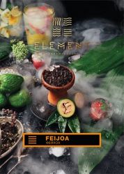    Element( 200.) () aroma Feijoa